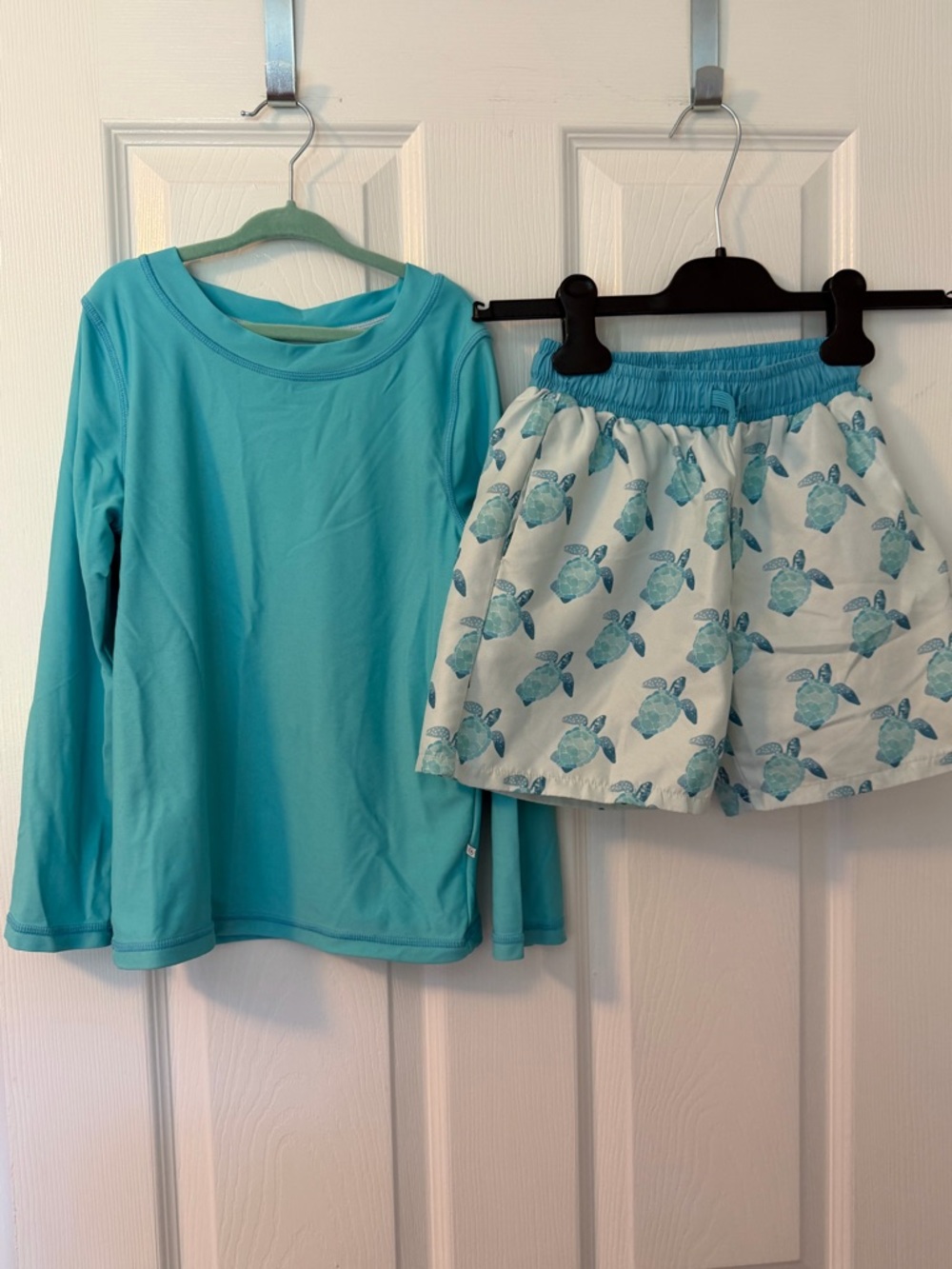Caden Lane Turquoise Long-Sleeve Rashguard with Turtle Print Swim Shorts